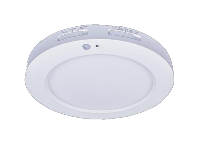 Surface Mount Downlight with Motion Sensor — SMD(MS) Series